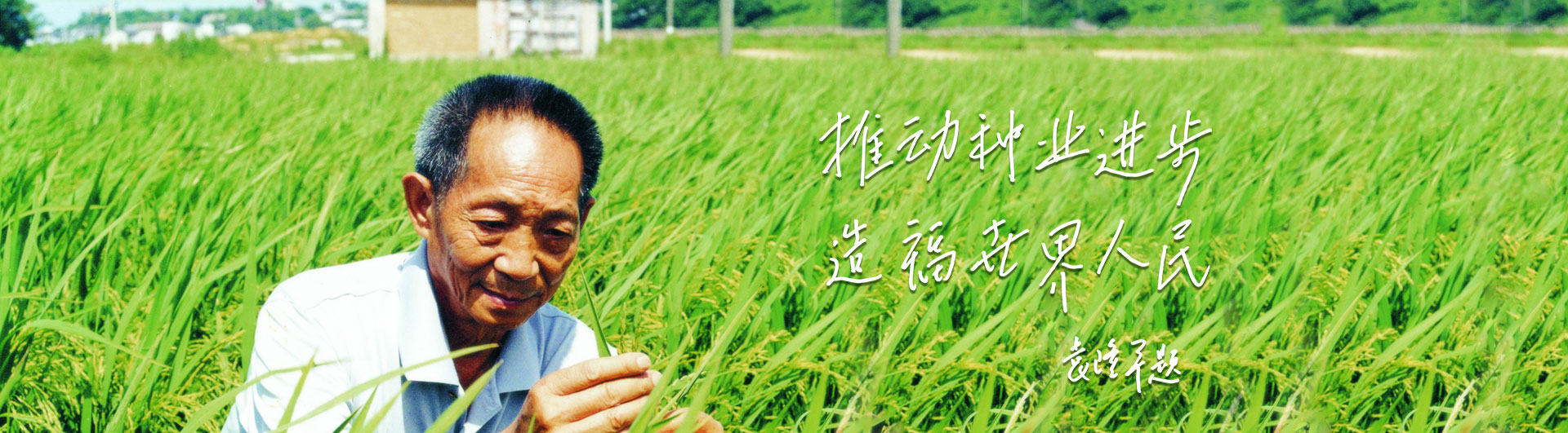 凯发k8一触即发高科