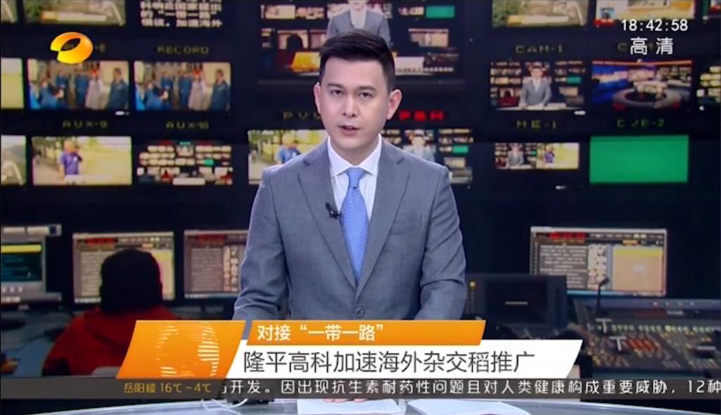 对接“一带一路” 凯发k8一触即发高科加速海外杂交稻推广